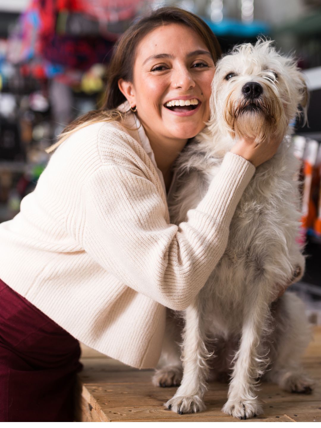 Loja virtual pet produtos para cães: Dê o melhor para seu amigo peludo com produtos de qualidade.