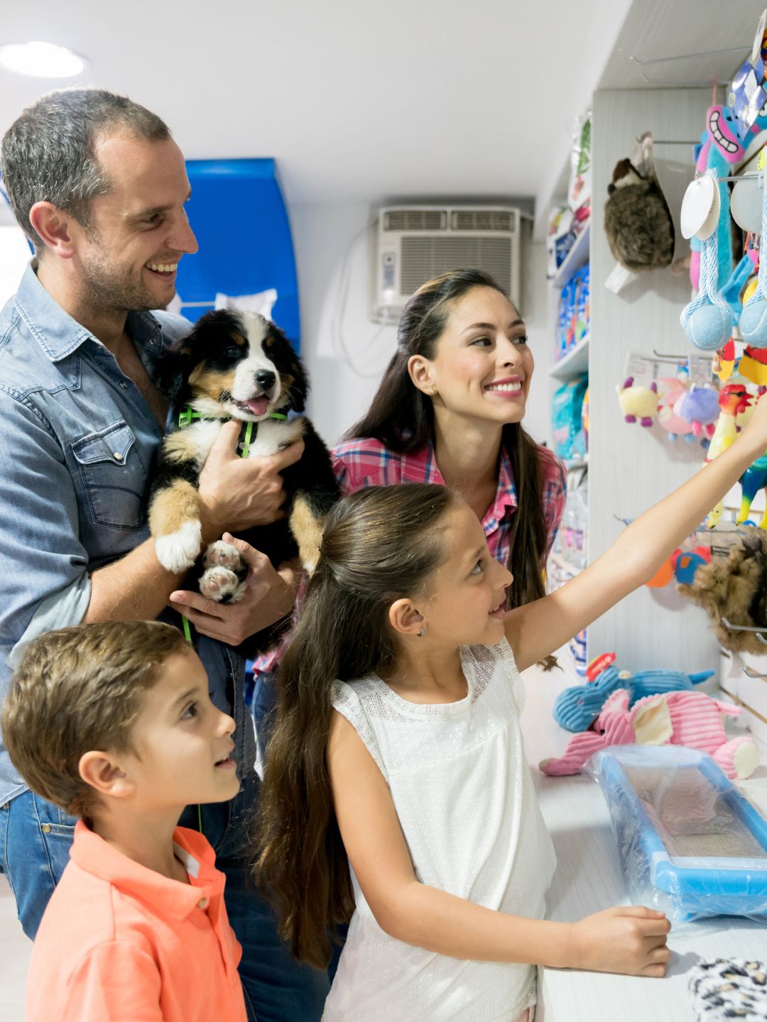 Loja virtual pet produtos para cães: Dê o melhor para seu amigo peludo com produtos de qualidade.