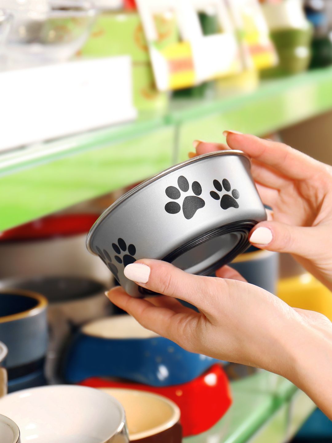 Loja virtual pet produtos para cães: Dê o melhor para seu amigo peludo com produtos de qualidade.