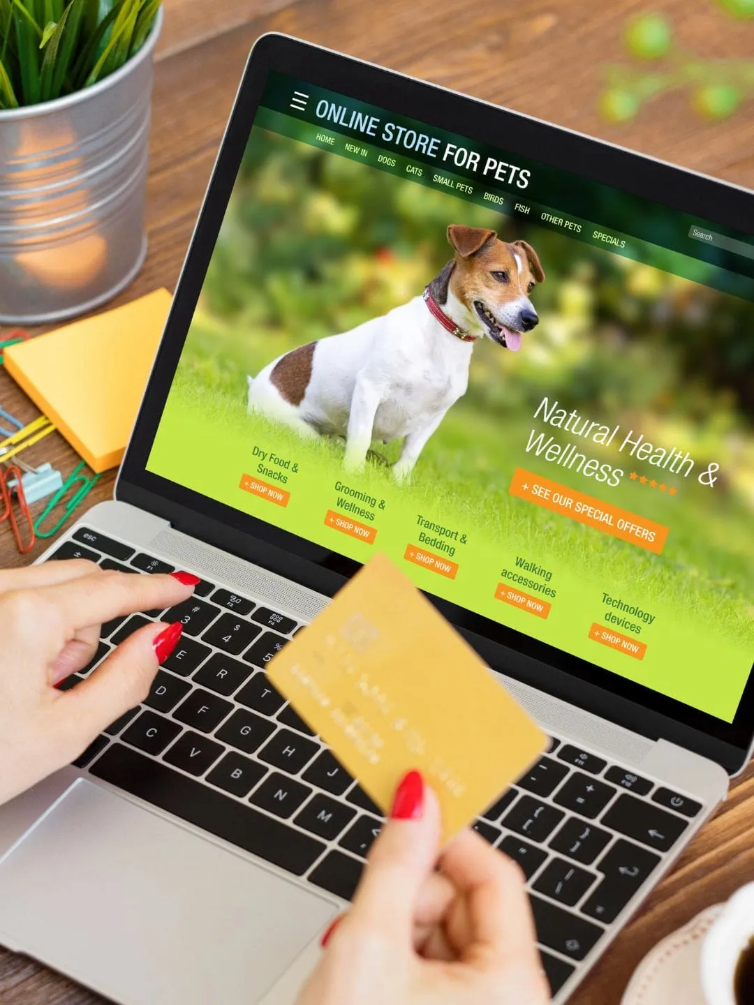 Acelere Seus Resultados: 5 Funcionalidades para sua Loja Virtual Pet em 2024