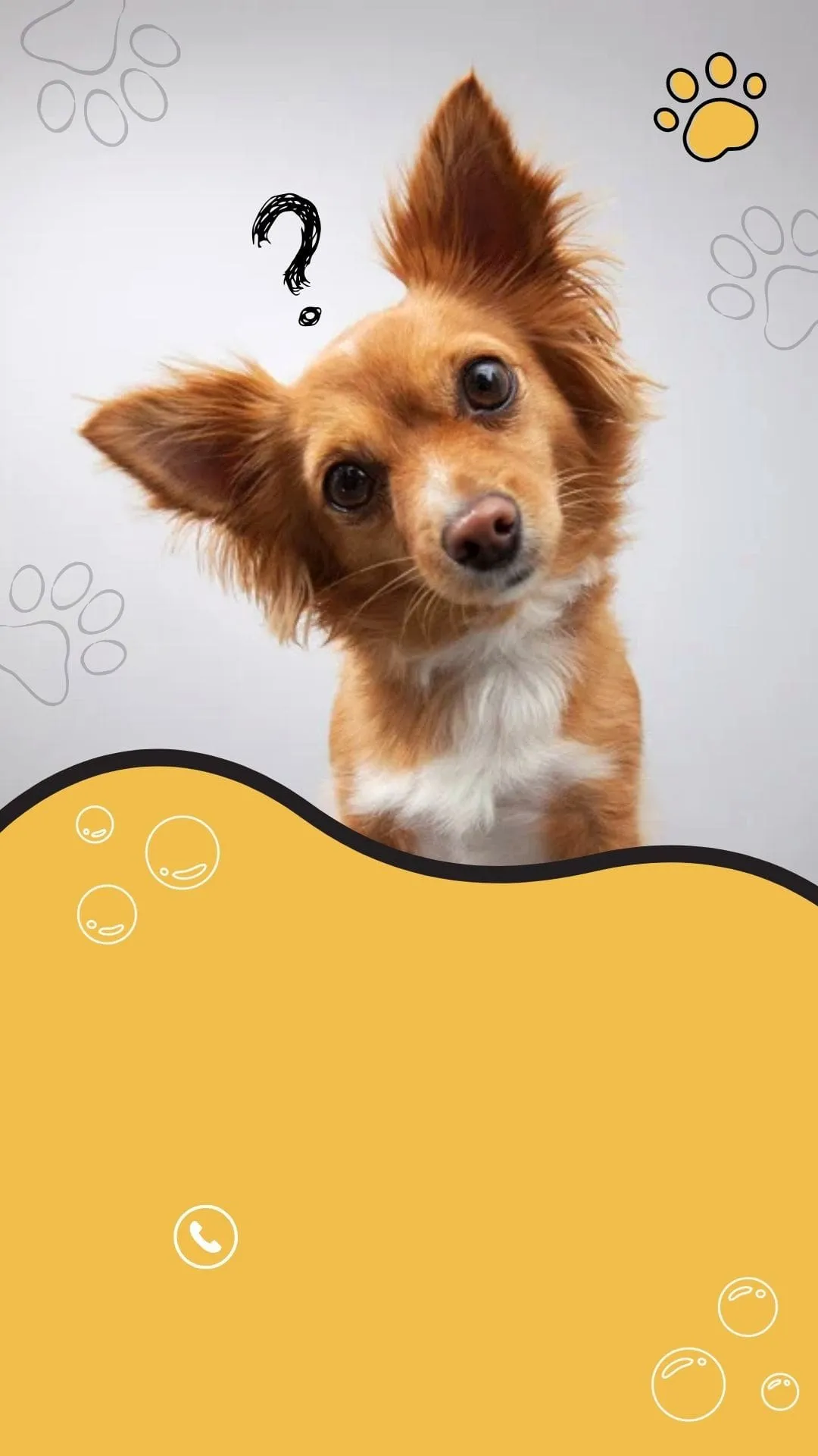 Como Construir uma Equipe de Sucesso para Sua Loja Virtual Pet: Dicas de Recrutamento e Gerenciamento