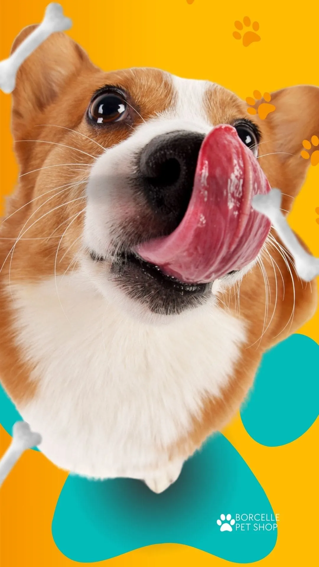 Como Construir uma Equipe de Sucesso para Sua Loja Virtual Pet: Dicas de Recrutamento e Gerenciamento