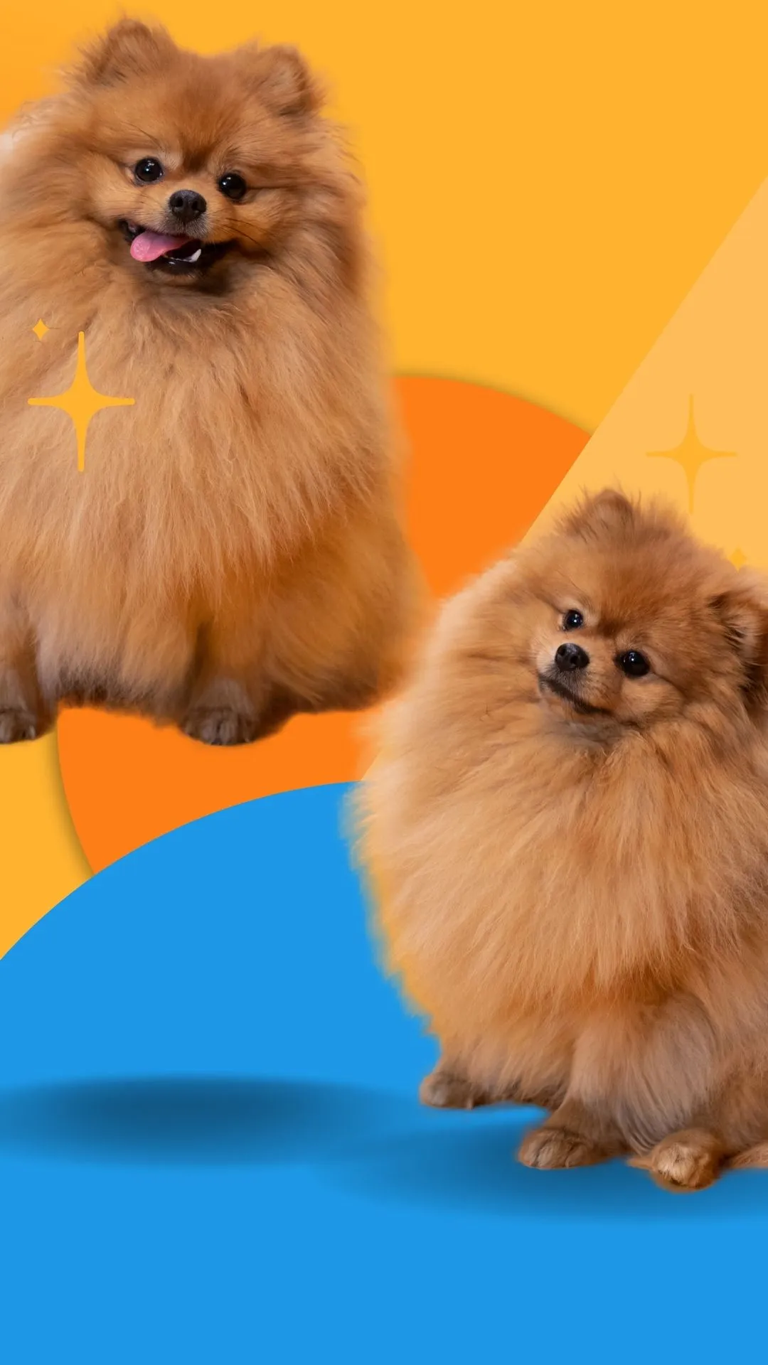 Como Construir uma Equipe de Sucesso para Sua Loja Virtual Pet: Dicas de Recrutamento e Gerenciamento